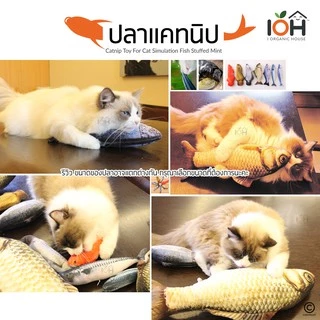 IOH Catnip Doll ตุ๊กตาแคทนิป ตุ๊กตายัดใส้แคทนิป ของเล่นแมว แถมฟรี ผงกัญชาแมว+ไม้มาทาทาบิ