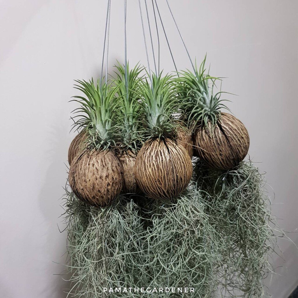 มุมมอง 2