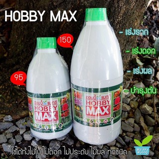 ปุ๋ยน้ำ บำรุงต้น เร่งดอก เร่งออก เร่งผล บำรุงลำต้นแข็งงแรง Hobby Max