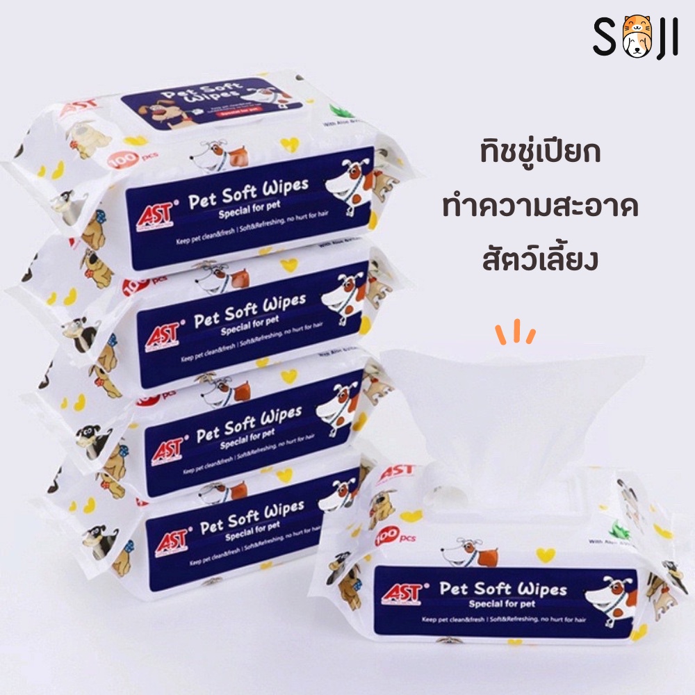 พร้อมส่ง  ทิชชู่เปียกทำความสะอาดสำหรับสัตว์เลี้ยง​ 100 แผ่น