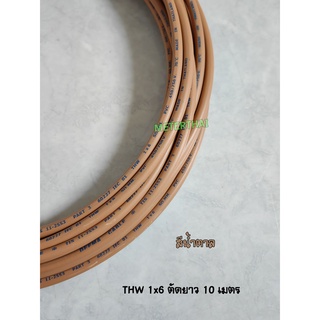 DEEMA CABLE สายไฟ THW 1x6 sq.mm. สีน้ำตาล ตัดยาว 10 เมตร