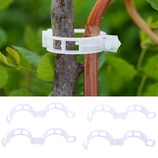 📣Garden Tomato Solanaceous Vegetable Plant Support Clips