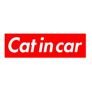 BOA495 สติกเกอร์ติดรถ Cat in car สติ๊กเกอร์ติดรถสวยๆ Sticker