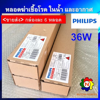 PHILIPS UV (C) &lt;ขายส่ง 6 หลอด/กล่อง&gt; หลอดยูวี ฆ่าเชื้อโรค TUV 36W T8 &lt;Poland&gt; สำหรับตู้อบฆ่าเชื้อ กระบอกยูวี ระบบกรองน้ำ