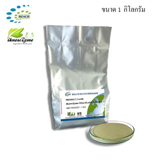 iKnowZyme Cellulase Powder เอนไซม์เซลลูเลส ขนาด 1 กิโลกรัม