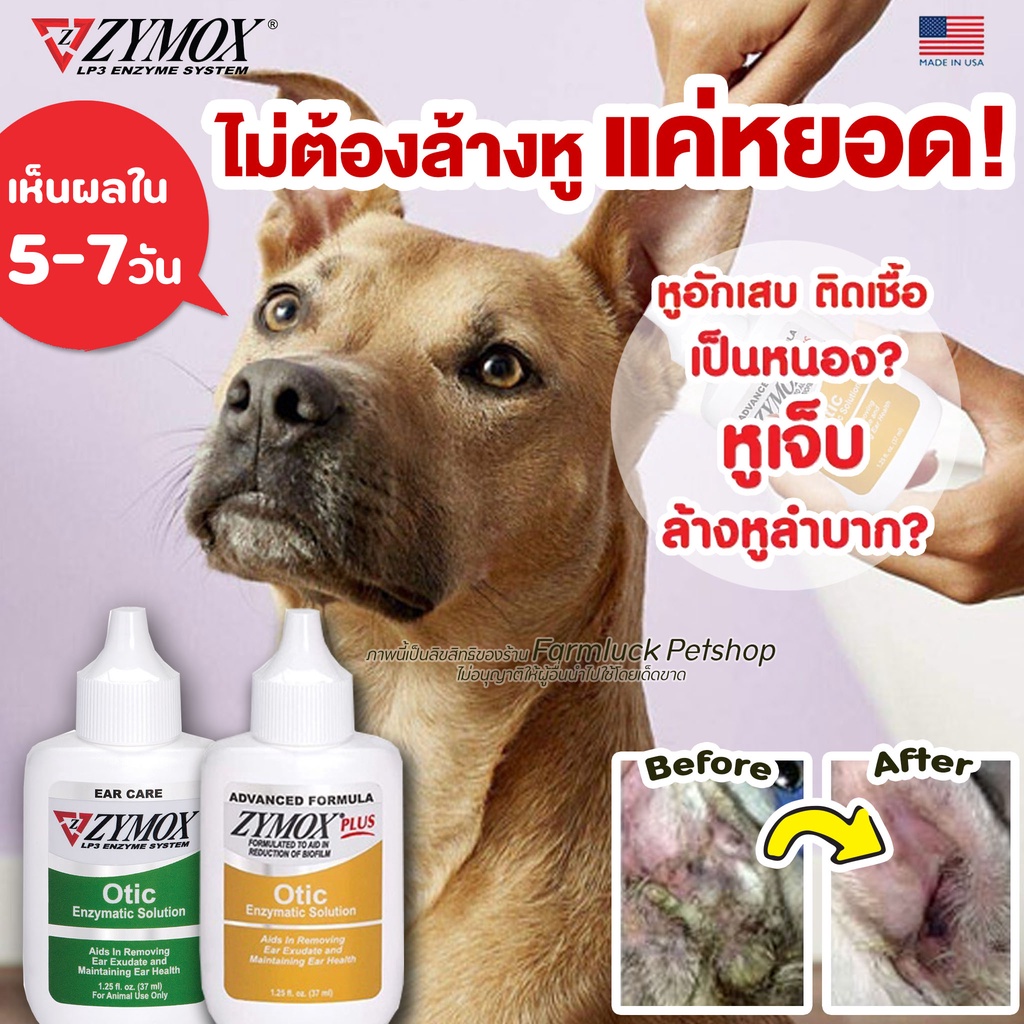 ZYMOX Otic หยอดหูสัตว์เลี้ยง รักษาหูอักเสบ ติดเชื้อ รา ยีสต์ แบคทีเรีย ไม่มียาปฎิชีวนะ รักษาได้แม้ดื