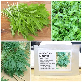 เมล็ดพันธุ์ มัสตาร์ด มิซูน่าสีเขียว (Green Mizuna Mustard Seed) บรรจุ 50 เมล็ด (ไม่ใช่พืชที่มีชีวิต)