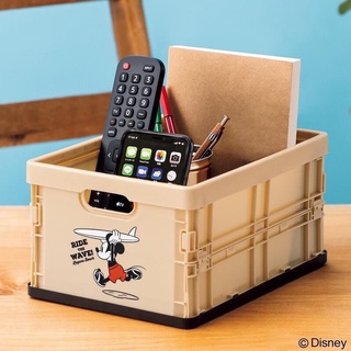 🇯🇵 mickey mouse container box