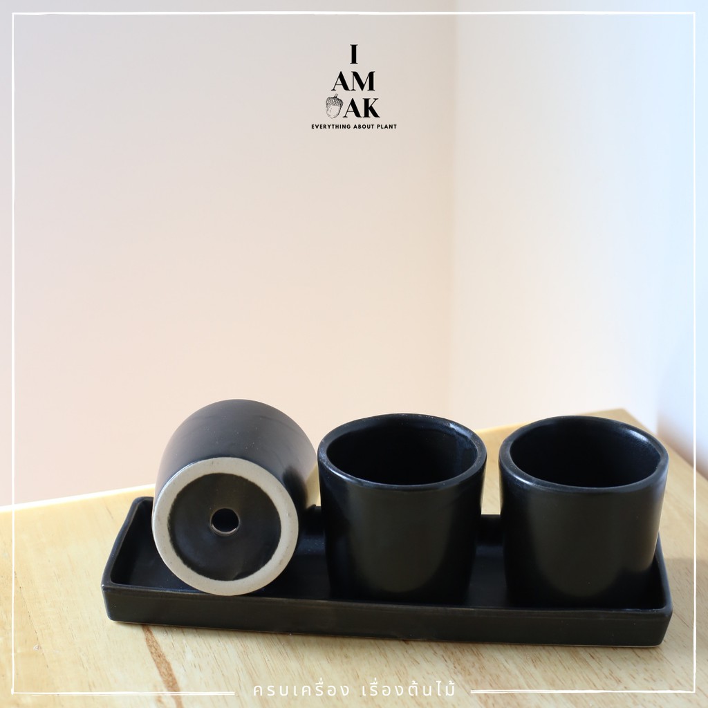 มุมมอง 2