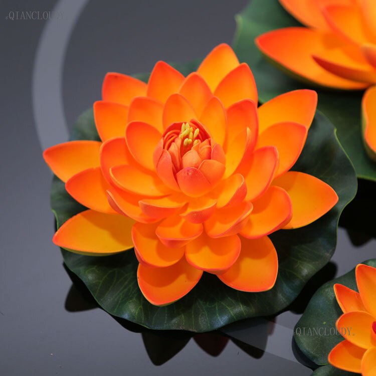 เมล็ดบัว 5 เมล็ด ดอกสีส้ม ดอกใหญ่ ของแท้ 100% Lotus Seeds. | Shopee Thailand
