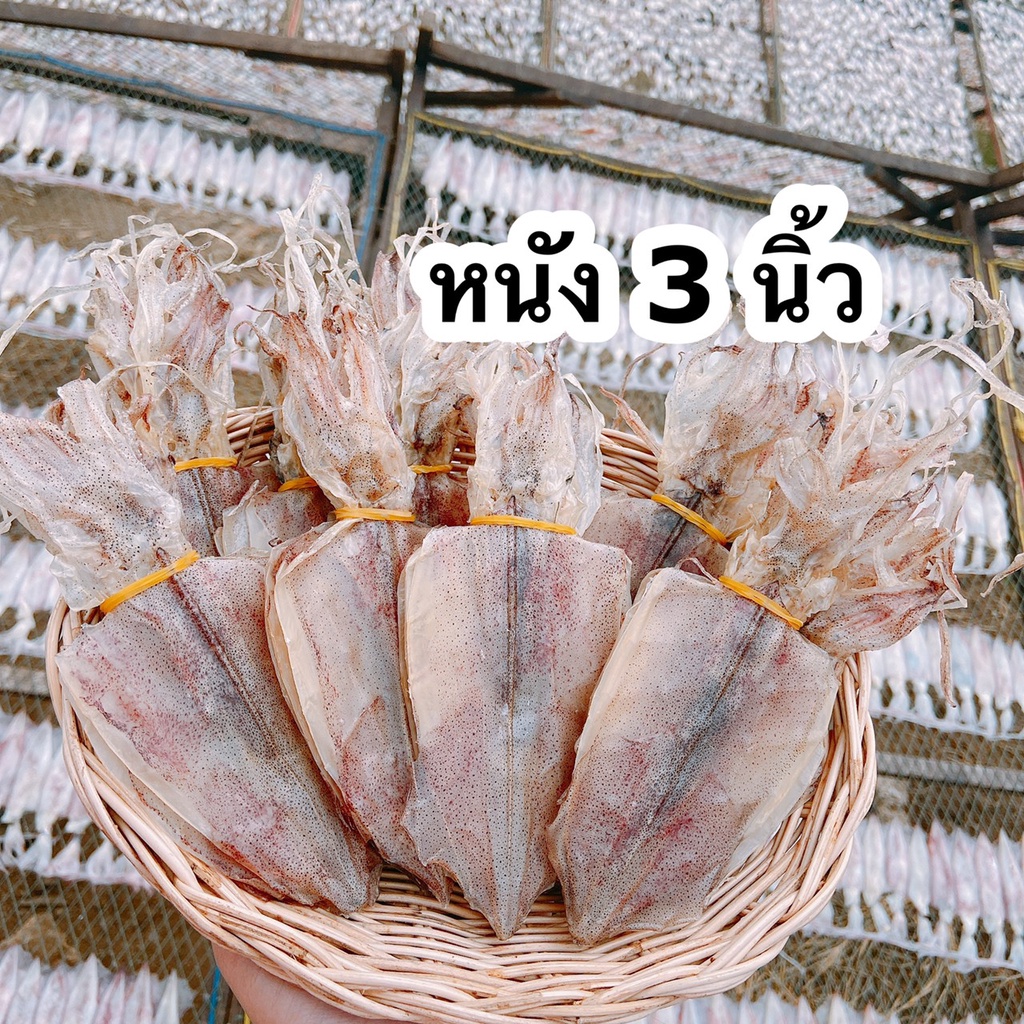 ปลาหมึกแห้งผ่า 3 นิ้ว หมึกแห้ง ปลาหมึกตากแห้ง อาหารทะเลแห้ง อาหารทะเลแปรรูป - Pailin seafood