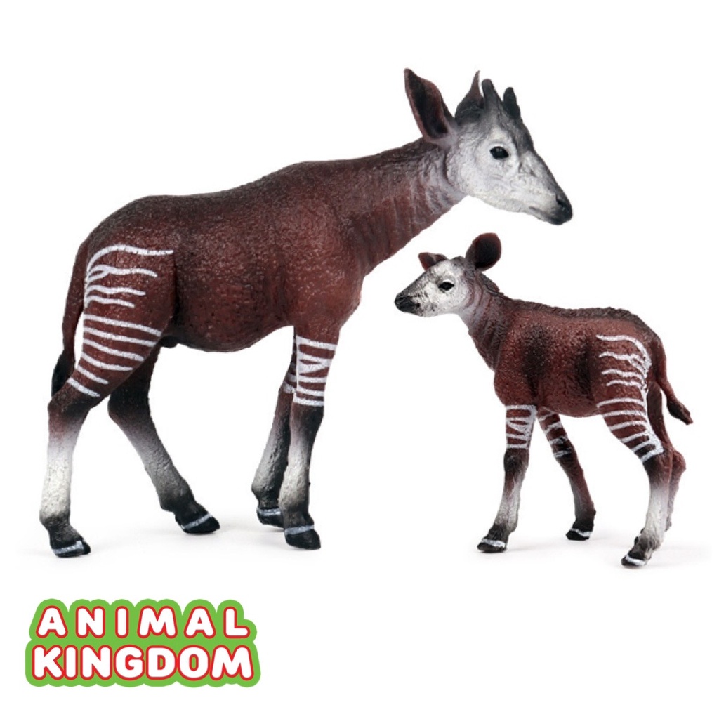 Animal Kingdom โมเดลสัตว์ Okapi โอคาพี แม่ลูก ชุด 2 ตัว (จากหาดใหญ่)