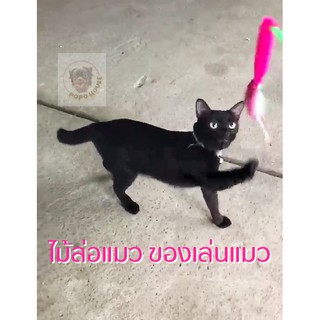 ไม้ล่อแมว ไม้ตกแมว โหย่งแมว ไม้ปอม ของเล่นน้องแมว Cat toy