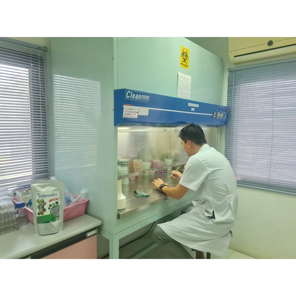 กัปตันบีที Bt สูตรเข้มข้น Bacillus Thuringiensis กำจัดแมลง thumbnail 10