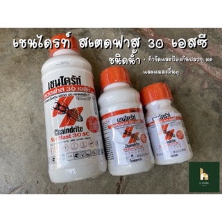 ยากำจัดปลวก เชนไดรท์สเตดฟาส 30 เอสซี ชนิดน้ำ กำจัดปลวด มอด มด และแมลงอื่นๆ ผสมน้ำราดได้ 60 เท่า