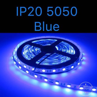 CRX ไฟเส้น LED IP20 5050 12V. 60LED/M Blue