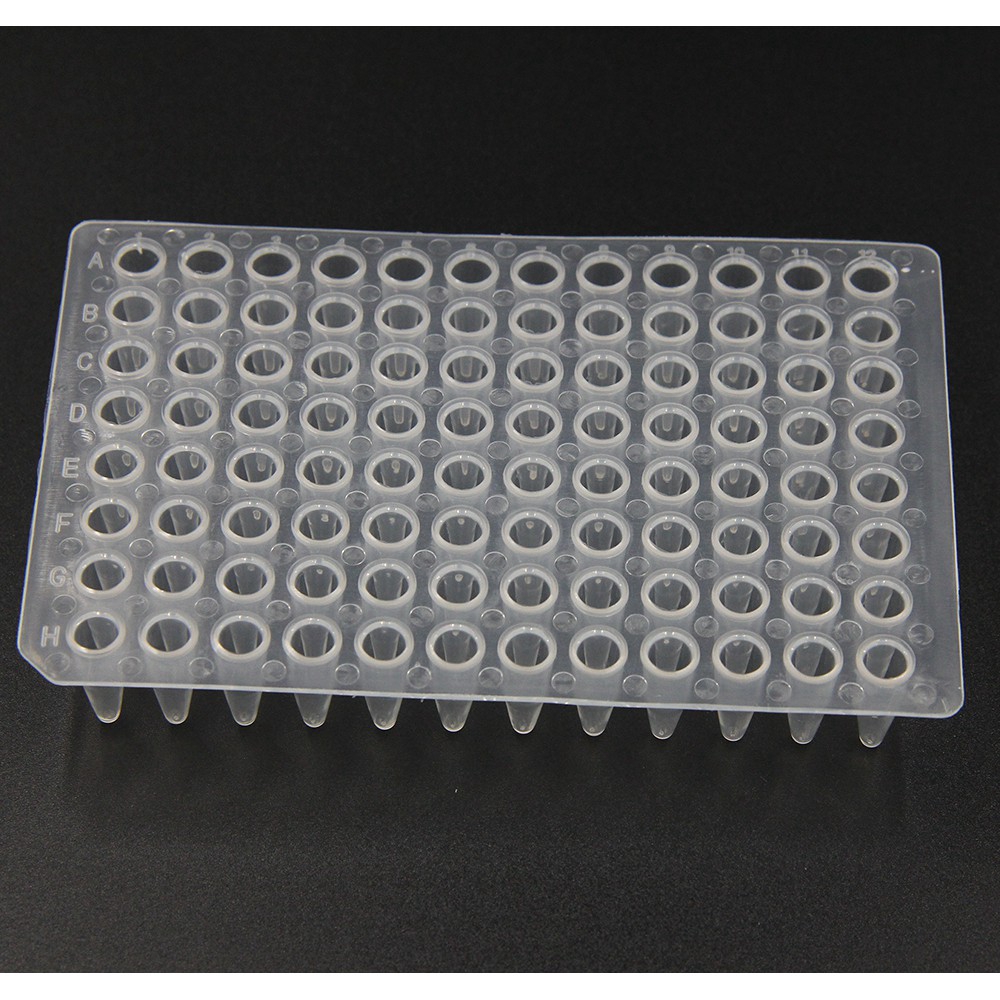 PCR Plate 96 Well - No-Skirt (20 แผ่น)