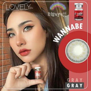 (บิ๊กอาย ตาโต สายฝอ) Wannabe Gray - Lovelylens บิ๊กอาย สายฝอ คอนแทคเลนส์ ตาโต สีเทา เน้นตาโต เซ็กซี่ รุ่นใหม่ สวยมากค่ะ