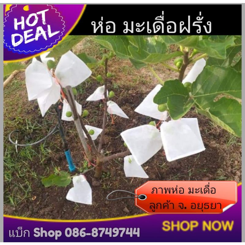 ถุงห่อมะเดื่อฝรั่ง Figs มะยงชิด สตรอเบอร์รี่ (แพ็ค20ใบ)ซักได้ใช้ซ้ำได้ถุงห่อผลไม้กันแมลงถุงผ้าสปันบอนด์