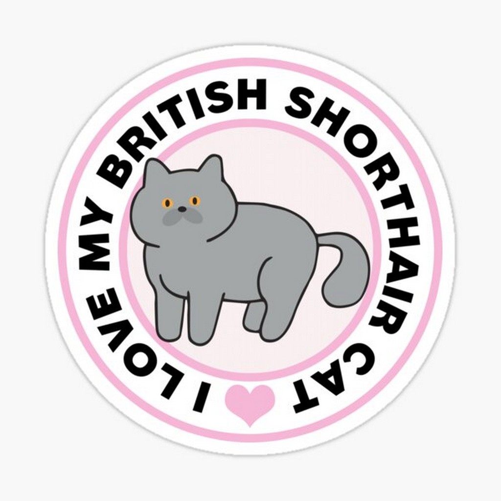สติ๊กเกอร์ติดรถ แต่งรถ สติ๊กเกอร์ แม่เหล็กติดรถยนตร์ สติ๊กเกอร์แมว I Love My British Shorthair Cat - DGE38