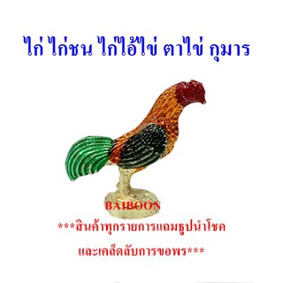 ไก่แก้บน ไก่สวยงาม ไก่จิ๋ว ของแก้บน ไก่แก้บน ไก่ ตาไข่ ไอ้ไข่ กุมาร ส้มฉุน ไก่แก้เคล็ด ไก่แก้บนไอ้ไข่