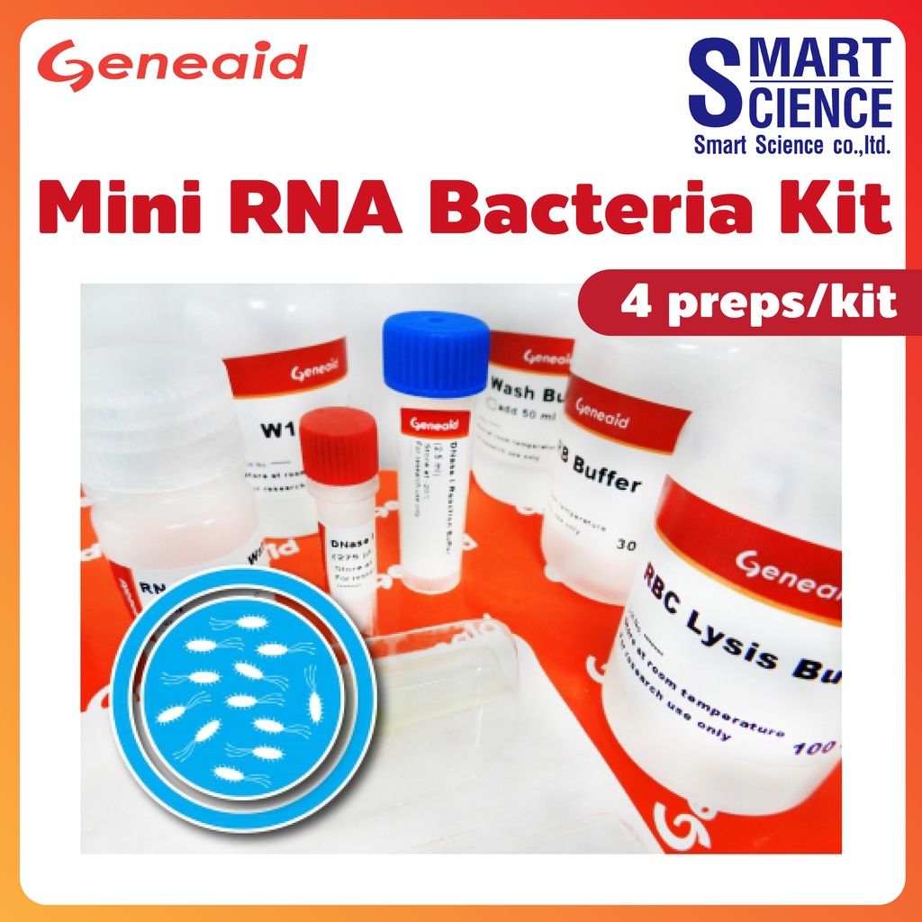 Geneaid® Presto™ Mini RNA Bacteria Kit w/DNase Set, 4 preps/kit RNA purification Shopee Thailand