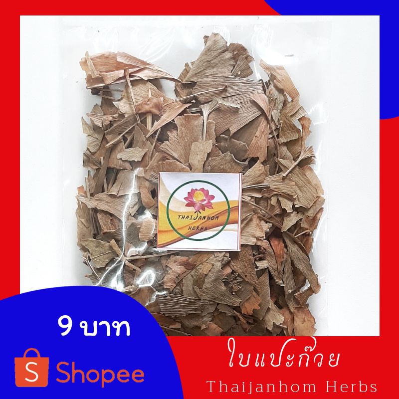 ใบแปะก๊วย  Ginkgo biloba ใบแปะก๊วยแห้ง  แปะก๊วย ขนาด 20 กรัม