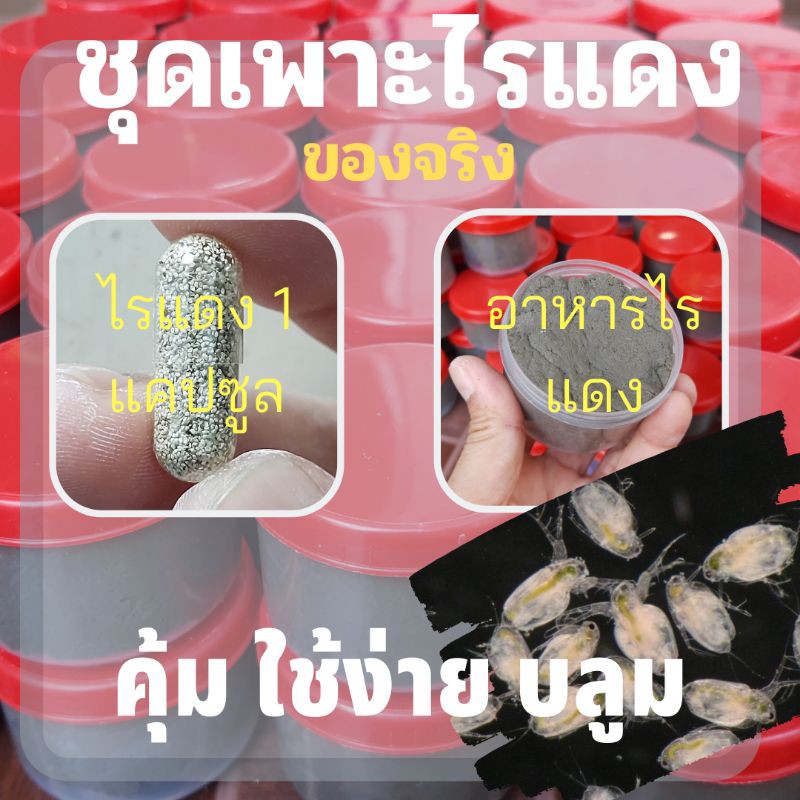 My Image 70