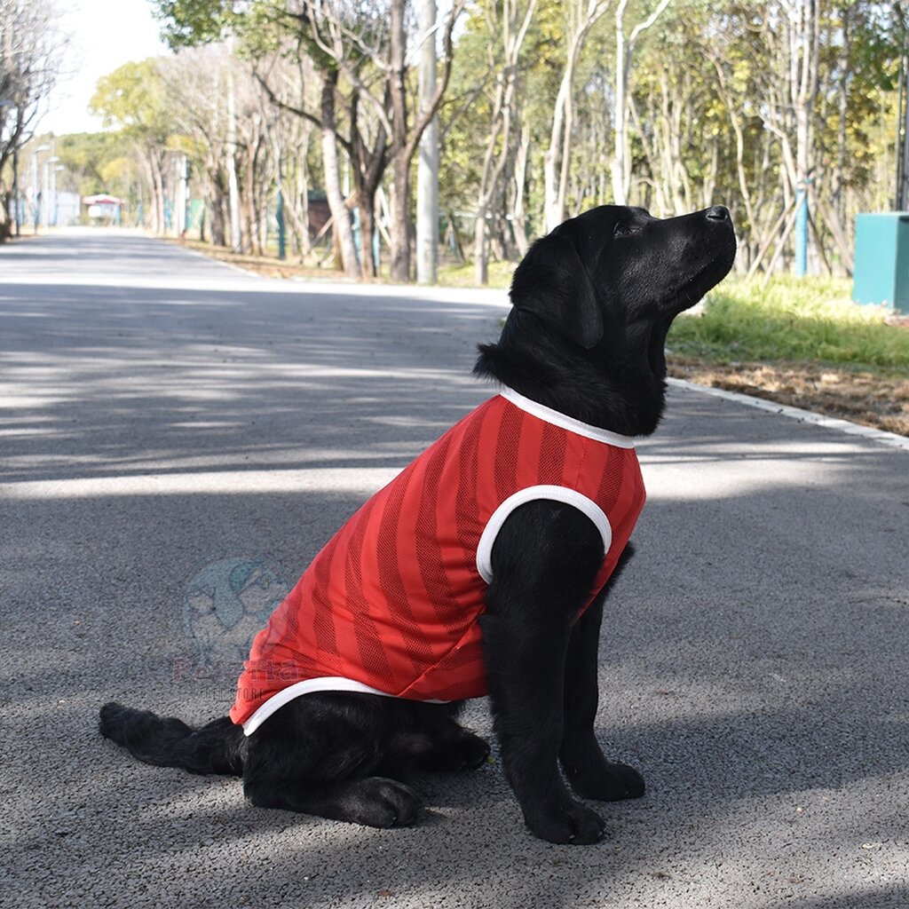 พร้อมส่ง BIG SIZE เสื้อกล้ามผ้ากีฬาผสมผ้าตาข่าย รูปที่ 4