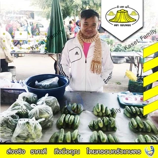 แตงไทยอ่อนสายเงิน 10 กรัม / 50 กรัม เมล็ดแตงไทย ตรางอบทอง (ขนาด 10 กรัมเป็นแบบซอง)