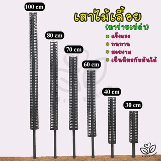 เสาไม้เลื้อย / หลักไม้เลื้อย /เสาตาข่ายเปล่า PVC