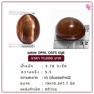 พลอยโอปอแคทอาย Opal Cats Eye ขนาด 13.0x10.3x7.7 มม. พลอยแท้ มีใบรับรอง