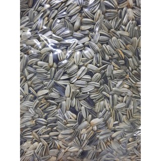 เมล็ดทานตะวันฮังการี่นอก เม็ดสวยสดใหม่ 1 Kg.