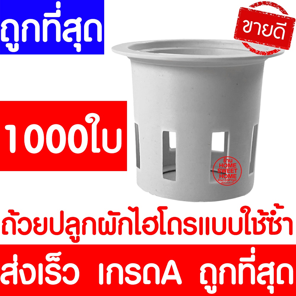 ถ้วยปลูกผักไฮโดรโปนิกส์ ถ้วยขาวปลูกผัก 1000 ใบ (แบบใช้ซ้ำ) ผักไฮโดร ไฮโดร hydroponic hydro ส่งไวมาก หนา เหนียว clearance
