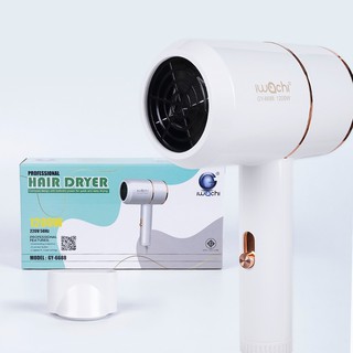 IWACHI เครื่องเป่าผม ไดร์เป่าผมไอออน รุ่น GY-6688 IWC-HAIR-DRYER-GY-6688-220V-1200W [หามาลด]