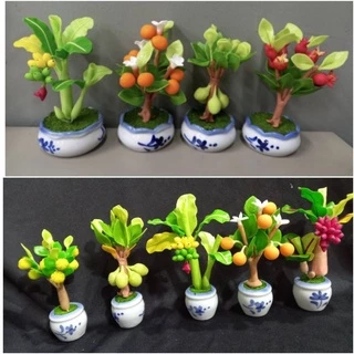 ต้นไม้มงคง สูง 4 นิ้ว ราคา 35 - 45 บาท