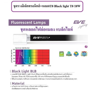 ชุดรางอิเล็กทรอนิกส์+หลอดT8 Black light T8 18W EVE หลอดล่อแมลง