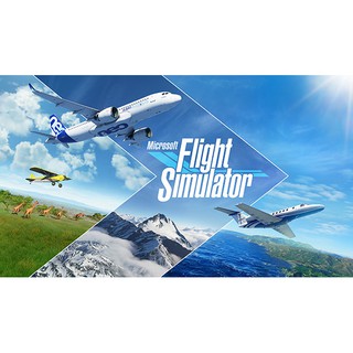 Microsoft Flight Simulator Game for PC