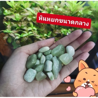 หินหยก​  แต่งตู้ปลา💚