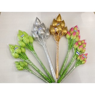 บัว ดอกบัว บัวผ้า บัวสีเขียว บัวสีชมมพู บัวเงิน-บัวทอง : ราคาต่อ 2 กำ