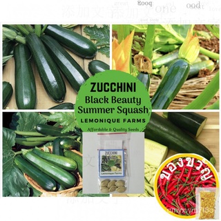 ความงามสีดำZucchiniเมล็ด | เมล็ดสควอชฤดูร้อนความงามสีดำ | เมล็ดผักเย็นเมล็ดมรดกตกทอดมะละกอ/กางเกง/กระโปรง/เมล็ด/กุหลาบ/ค