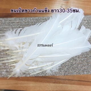 ขนเป็ดสีขาวก้านแข็ง ยาว30-35ซม. แพ๊คละ5ก้าน มีของพร้อมส่ง