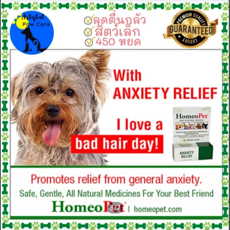 HomeoPet Anxiety Relief Dog Cat Bird Small Animal 450 drops ลดตื่นกลัว ...