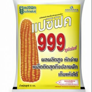 เมล็ดพันธุ์ข้าวโพดเลี้ยงสัตว์ แปซิฟิค999