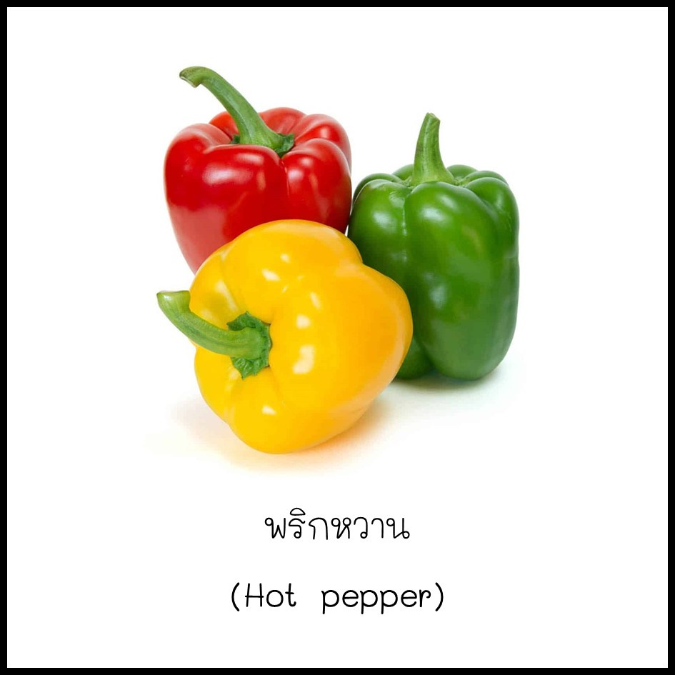 เมล็ดพริกหวาน (Hot pepper) 15 เมล็ด [10 แถม 1 คละได้]