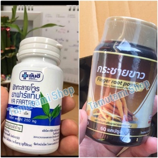 Finfer root powder กระชายขาวสกัดเข้มข้น ฟ้าาทลายโจรร สกัด 60 แคปซูล