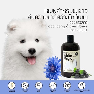 Doggy Potion แชมพูขนขาว White Magic ลูกสุนัขใช้ได้ เหมาะกับขนนาวและขนสีอ่อน