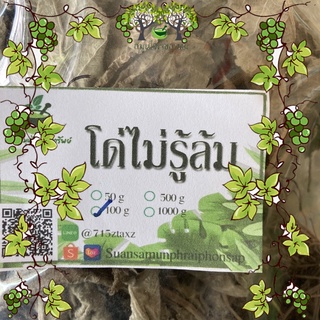 โด่ไม่รู้ล้ม โด่ไม่ล้ม ขนาด 100 กรัม ช่วยบำรุงหัวใจ