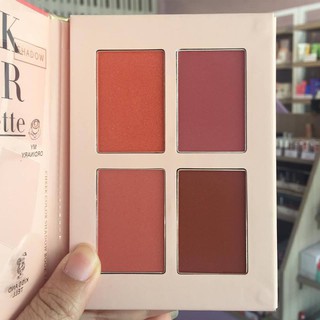 Hold LiveCheek Color Shadow Book Palette เบอร์ 205 เบอร์นี้สีสวยมั๊กมาก เลยจ้ะ ปัดแก้มเนื้อฝุ่น บลัชออน มีมิติ