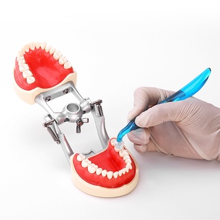 【ddydental】ชุดเครื่องมือทันตกรรม แม่พิมพ์ทันตกรรม 1 ชุด